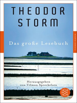 cover image of Theodor Storm: Das große Lesebuch